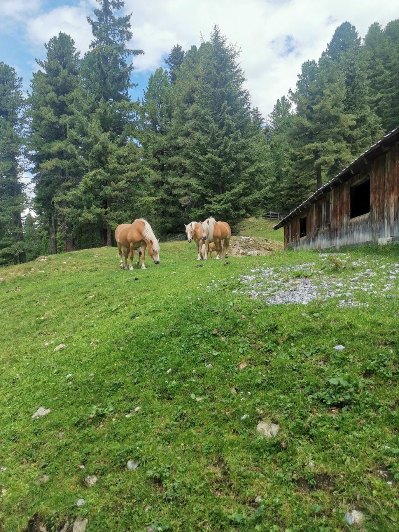 Pitztal Living Aparthotel Jerzens Eksteriør bilde